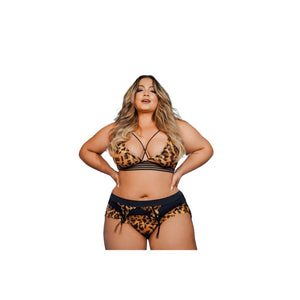 Conjunto Top Strappy Bra Calcinha Cinta Liga Plus Size Onça